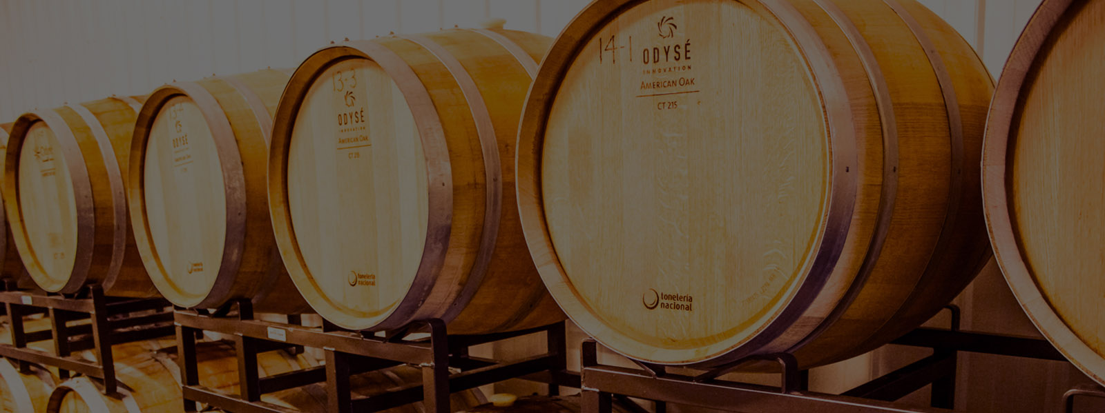 Briar Creek Vineyards photo 9